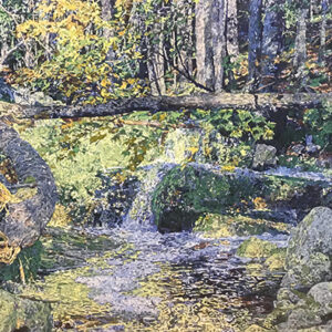 Fallen Branch, 2022 (SOLD)