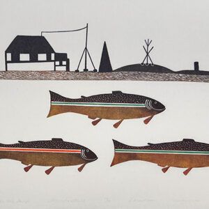 Lake Trout Near Our Camp, 1983