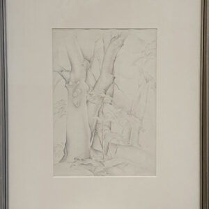 #13 Study of Trees, 1933