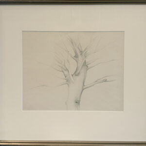 Tree Top No. 6, 1931
